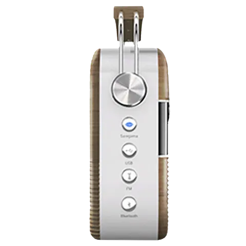 SAREGAMA Carvaan 6W Portable Bluetooth Speaker (5 Hours Playtime, Oakwood Brown) (OPENBOX)