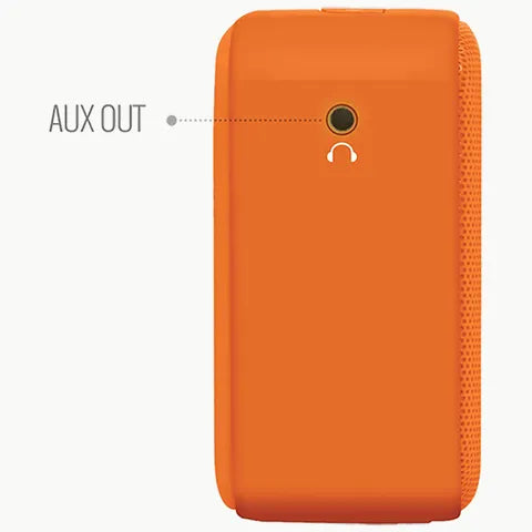 SAREGAMA Carvaan Mini Bhagavad Gita 5W Portable Bluetooth Speaker (5 Hours Playtime, 2.1 Channel, Orange) (OPENBOX)