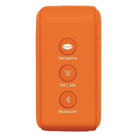 SAREGAMA Carvaan Mini Bhagavad Gita 5W Portable Bluetooth Speaker (5 Hours Playtime, 2.1 Channel, Orange) (OPENBOX)