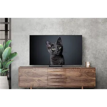 Samsung 163 cm (65 inch) 4K Ultra HD OLED Smart TV (OPENBOX)