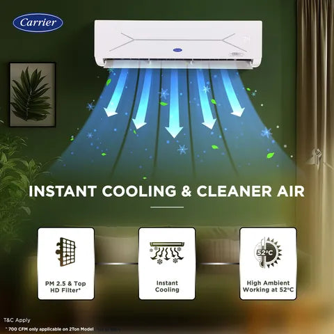Carrier ESTER EDGE FXi 1 Ton 3 Star Inverter Split AC (OPENBOX)