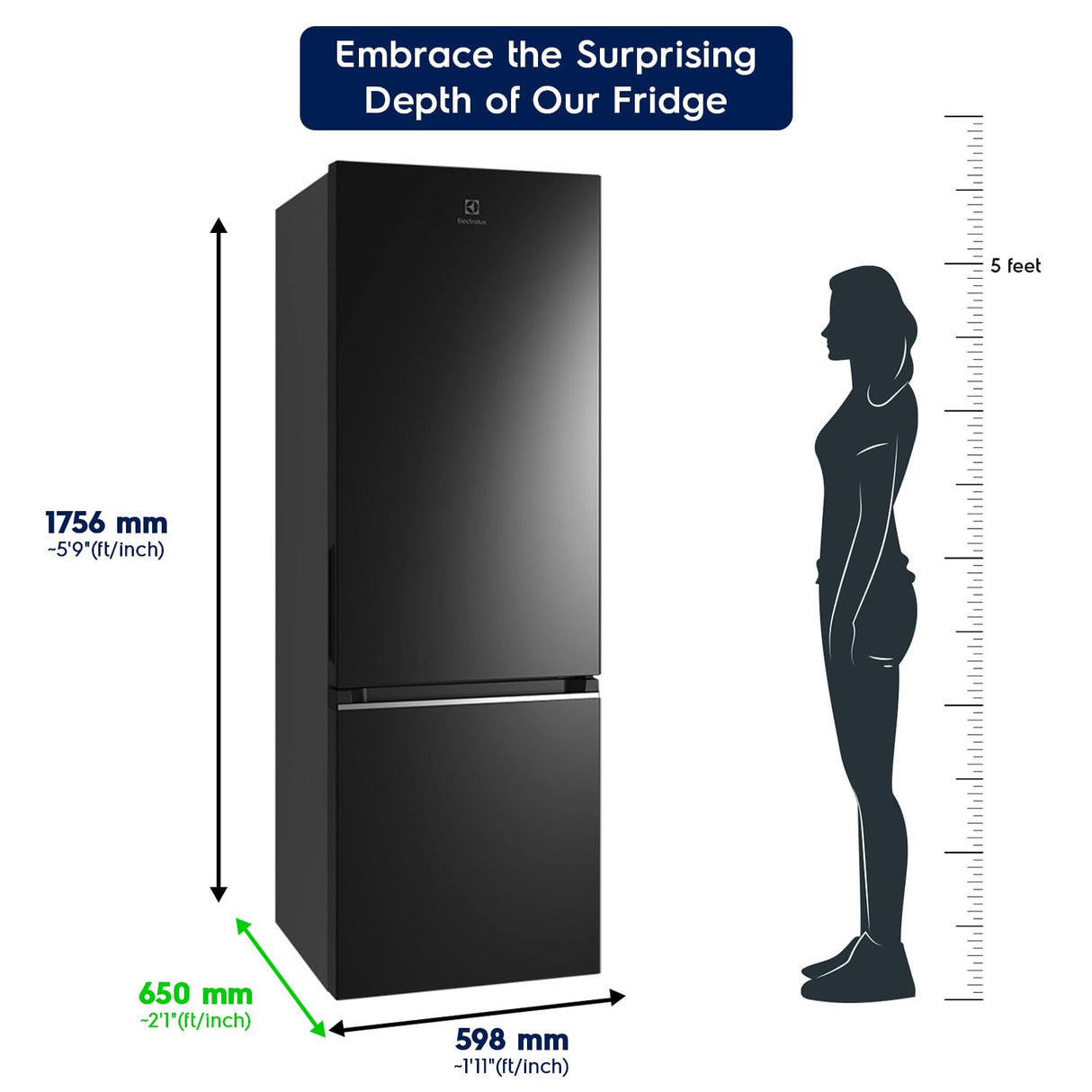 Electrolux 335L Frost Free Double Door Bottom Mount Refrigerator (EBB3702K-H, Glossy Black Steel) (OPENBOX)