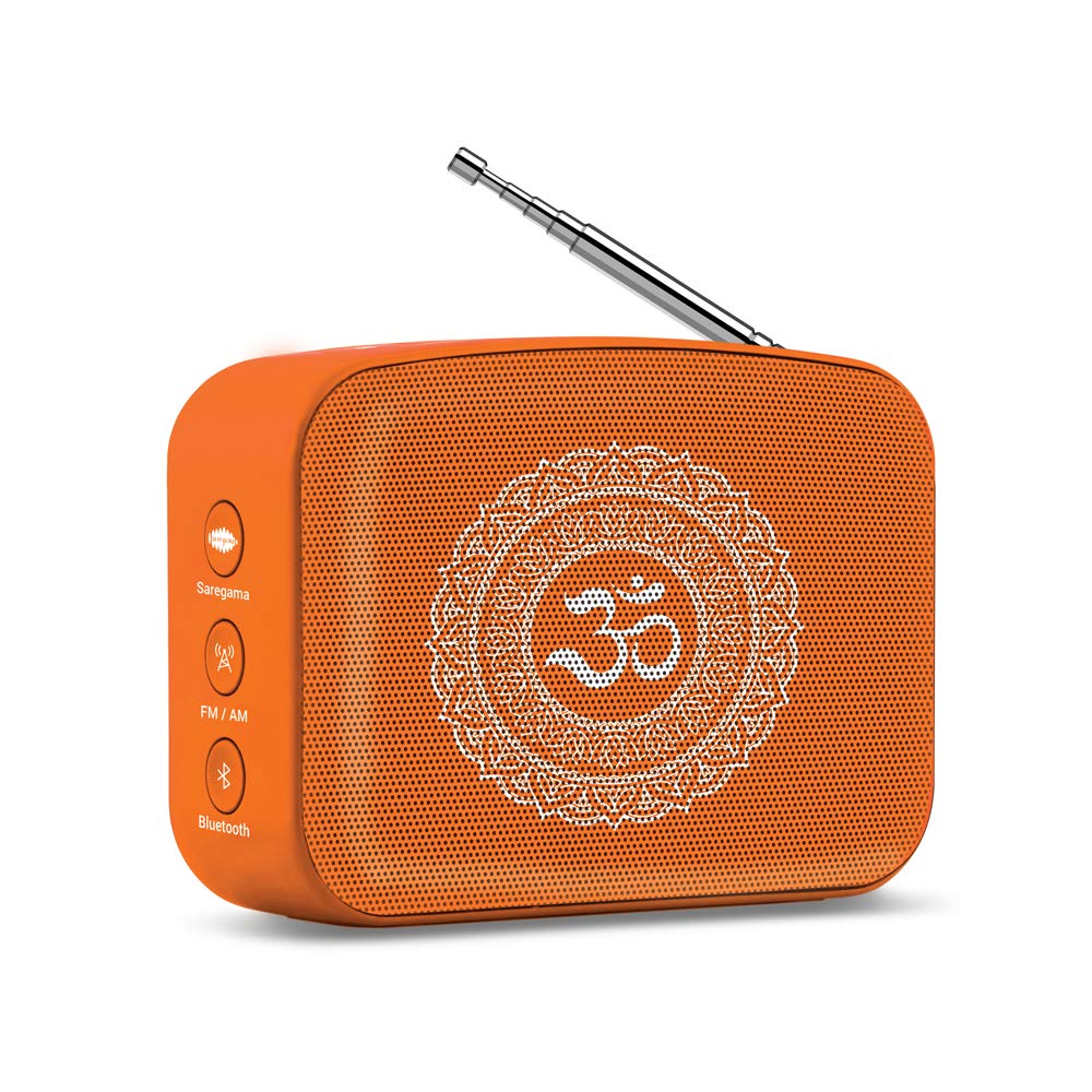 Saregama Carvaan Mini 2.0 (OPENBOX)
