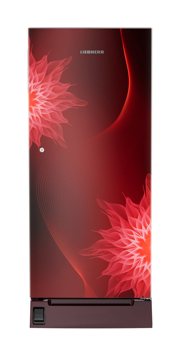 Liebherr DC 202L DFPRMC 2021 RED MST 3S (OPENBOX)