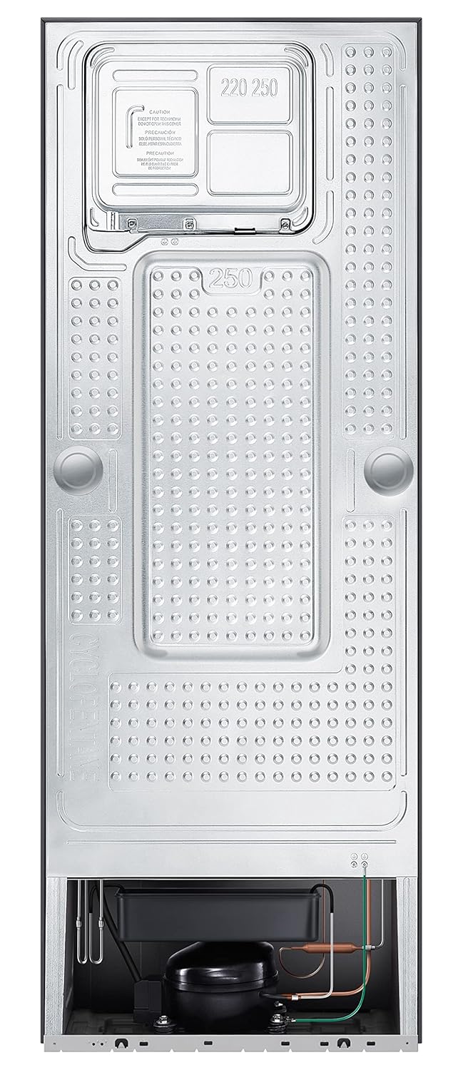 SAMSUNG FF 256L RT30C3732BX/HL BLK 2S (OPENBOX)