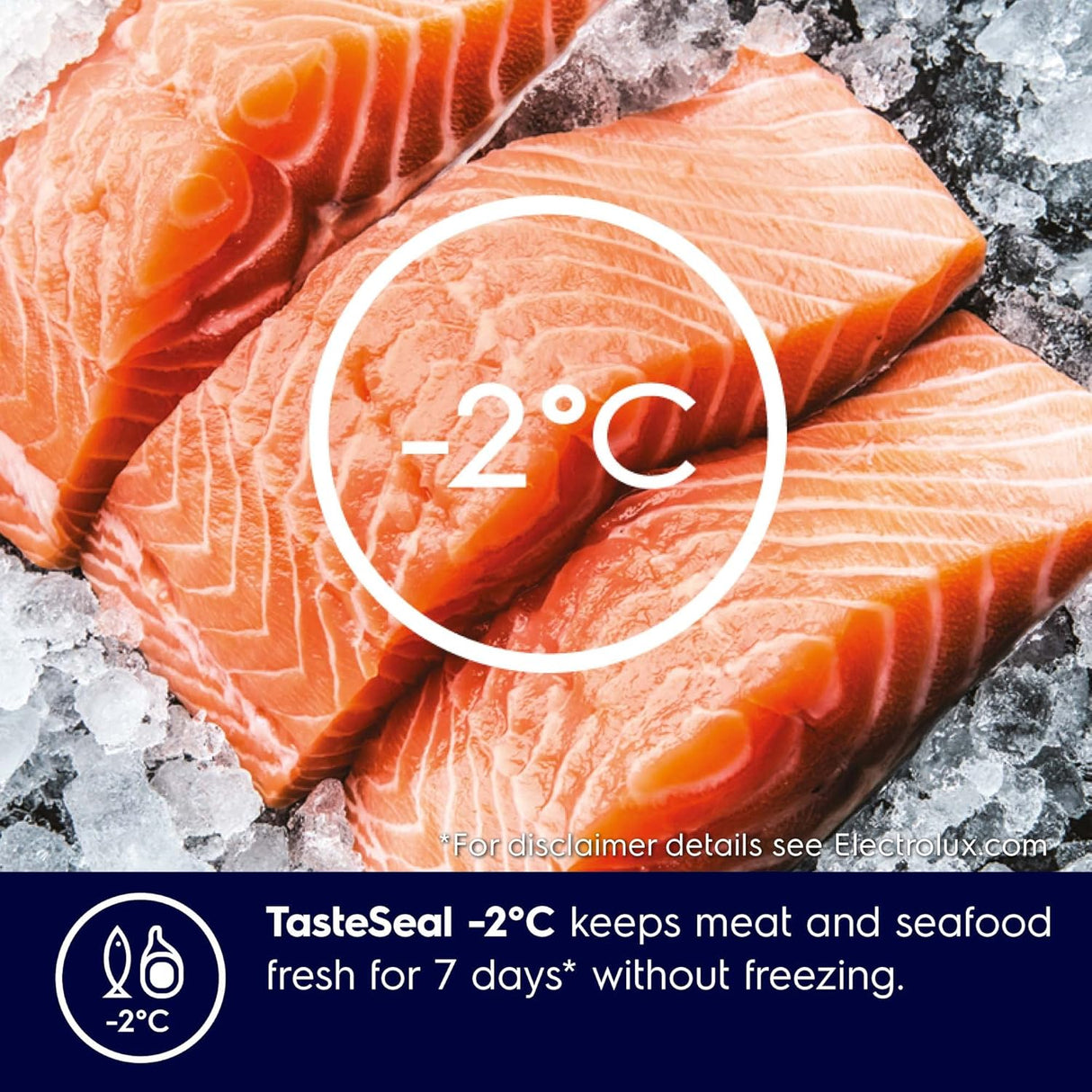 Electrolux 335L Frost Free Double Door Bottom Mount Refrigerator (EBB3702K-H, Glossy Black Steel) (OPENBOX)