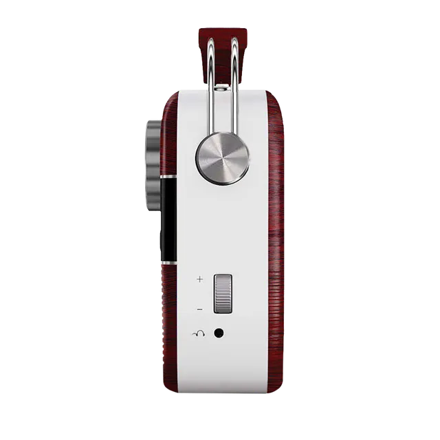 SAREGAMA Carvaan 6W Portable Bluetooth Speaker (5 Hours Playtime, Cherrywood Red) - OPEN BOX