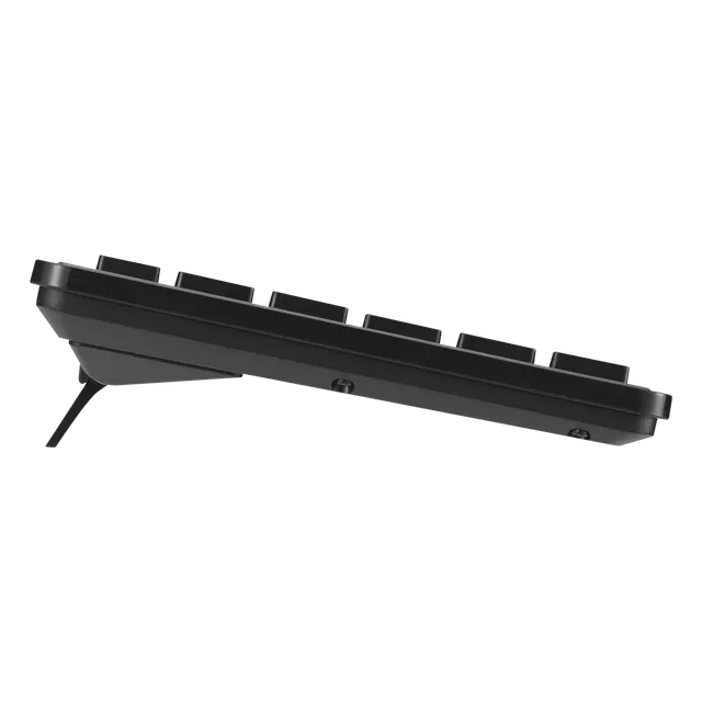 ASUS CW101 Keyboard and Mouse Combo (OPEN BOX )