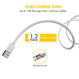 Inbase Type-C Cable - Charge & Sync Box Packing (20CM)